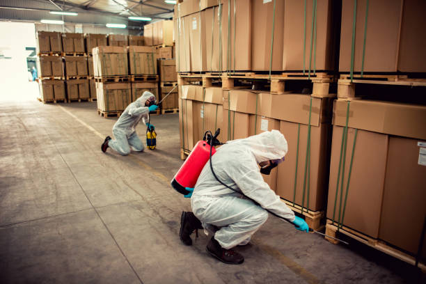 Best Pest Control Near Me  in Hull, IA