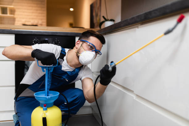 Best Best Pest Control Companies  in Hull, IA