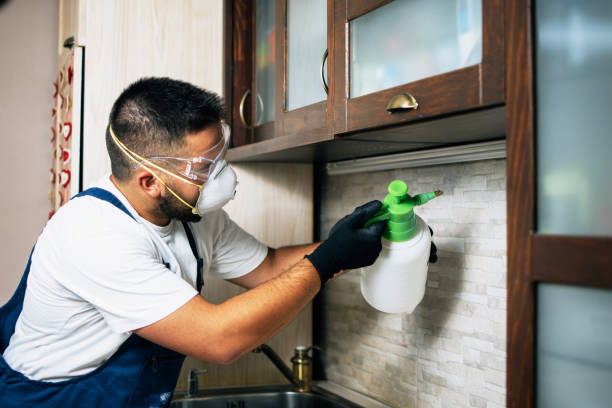 Best Best Pest Control Companies  in Hull, IA