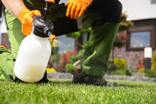 Best Pest Removal Services  in Hull, IA