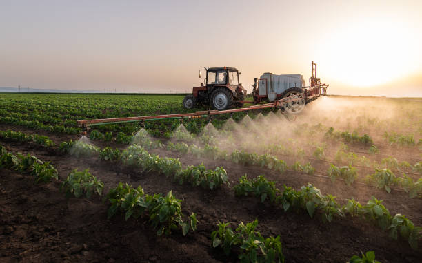 Best Best Pest Control Companies  in Hull, IA