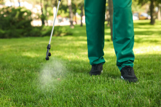 Best Pest Control for Homes  in Hull, IA