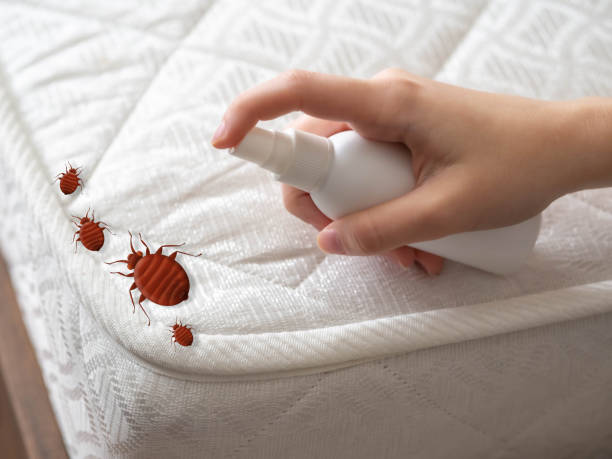 Best Commercial Pest Control Services  in Hull, IA