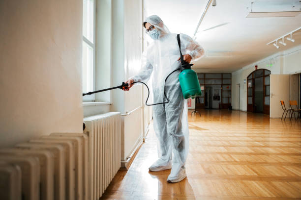 Best Ant Control Services  in Hull, IA