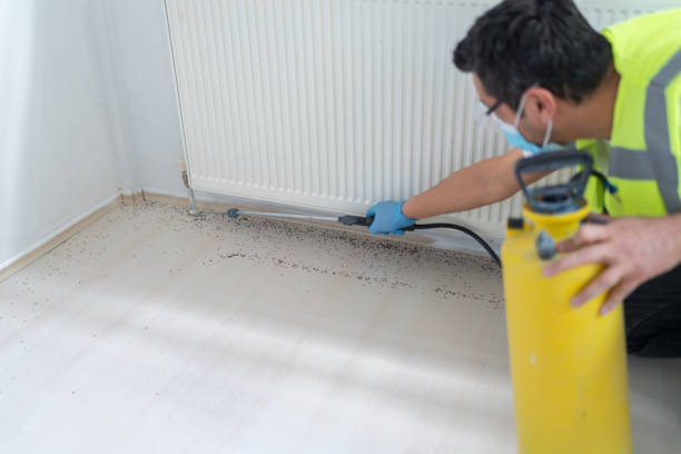Best Pest Inspection Near Me  in Hull, IA
